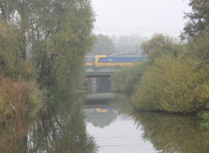 IMG_8223 r